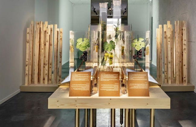 Entrada al museo enológico Pressoria + Cata de champán - Foto 7
