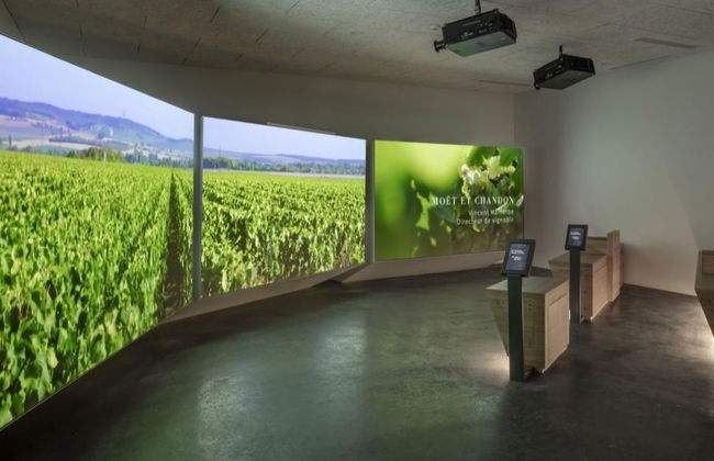 Entrada al museo enológico Pressoria + Cata de champán - Foto 8