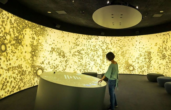 Entrada al museo enológico Pressoria + Cata de champán - Foto 3