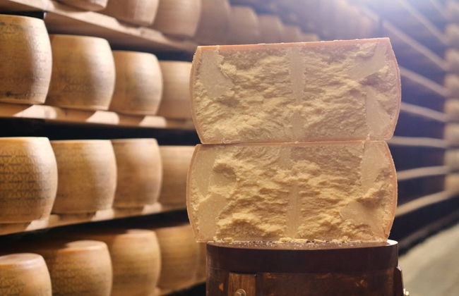 Visita a una fabbrica di parmigiano - Foto 1