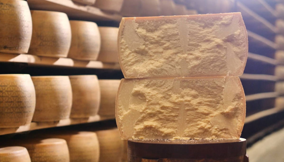 Visita a una fabbrica di parmigiano - Foto 1