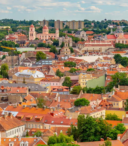 Foto de Tour privado por Vilna con guía en español