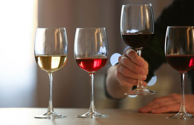 Visita por las bodegas Urbina - Photo 1