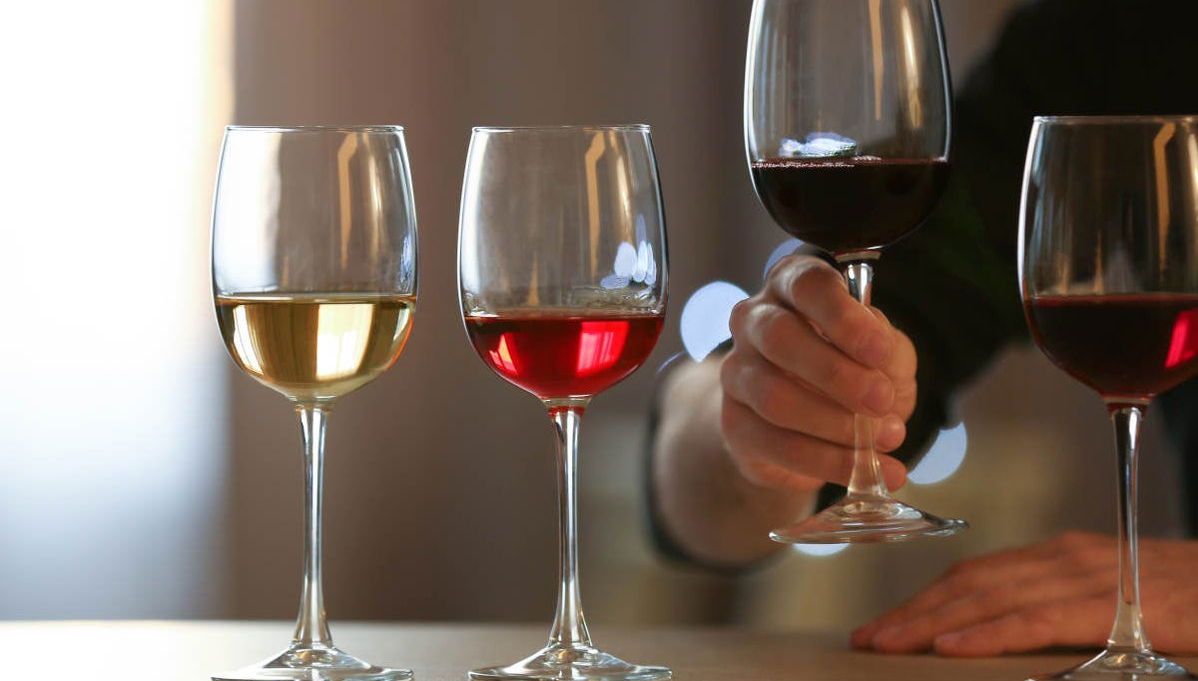 Visite des caves à vin Urbina - Photo 1