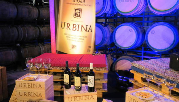 Visite des caves à vin Urbina - Photo 4