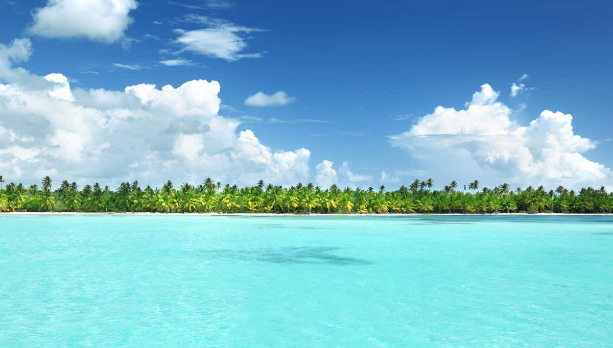 Catalina Island & Chavon River Day Trip - Foto 1