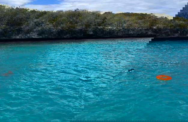Catalina Island & Chavon River Day Trip - Foto 3