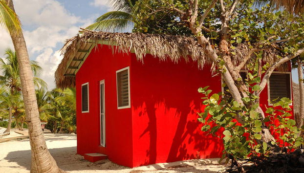 Catalina Island & Chavon River Day Trip - Foto 2