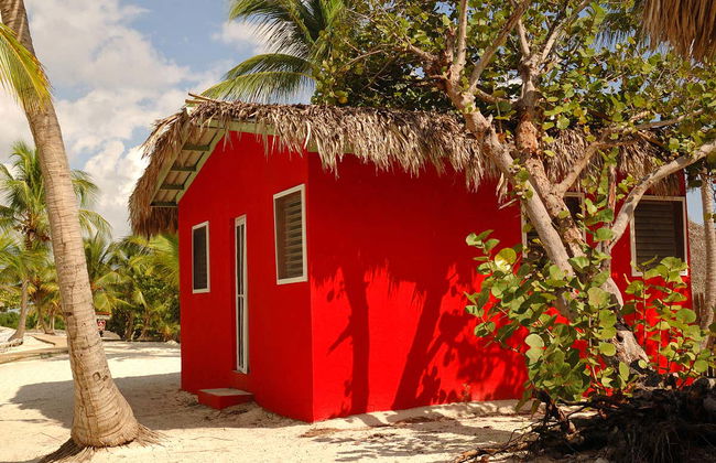 Catalina Island & Chavon River Day Trip - Foto 2