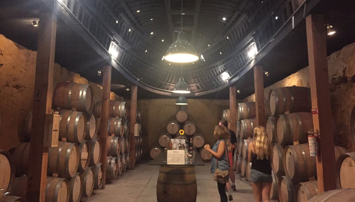 Route des vins dans la vallée de Guadalupe - Photo 1