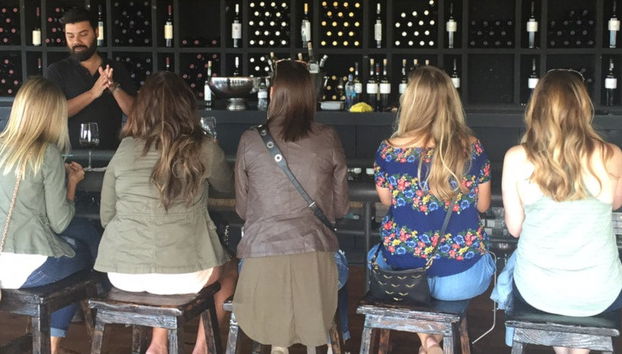 Route des vins dans la vallée de Guadalupe - Photo 5