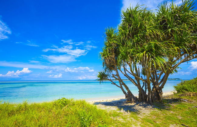 Speedboat Ride to Gili Islands - Foto 7