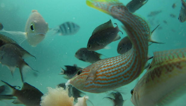 Speedboat Ride to Gili Islands - Foto 2