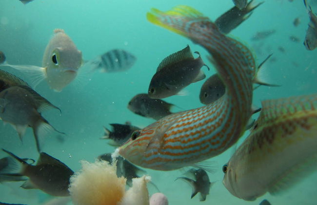 Speedboat Ride to Gili Islands - Foto 2