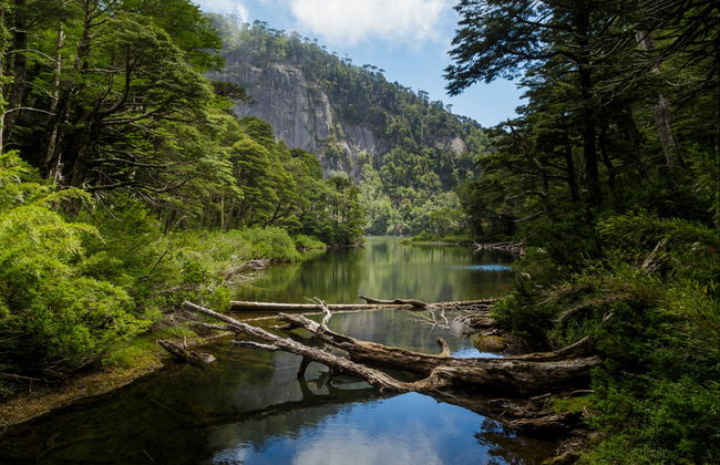 Trekking al Parco nazionale Huerquehue - Foto 6