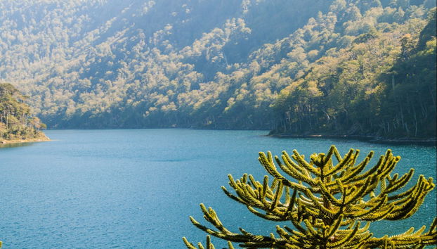 Huerquehue National Park Hike - Photo 5