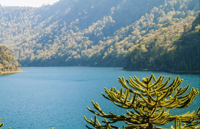 Trekking al Parco nazionale Huerquehue - Foto 5