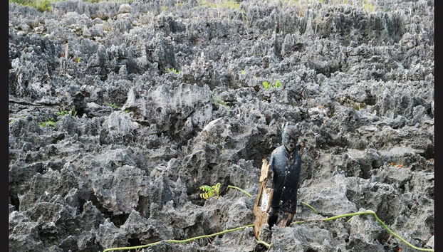 Grand Cayman Tour - Foto 4