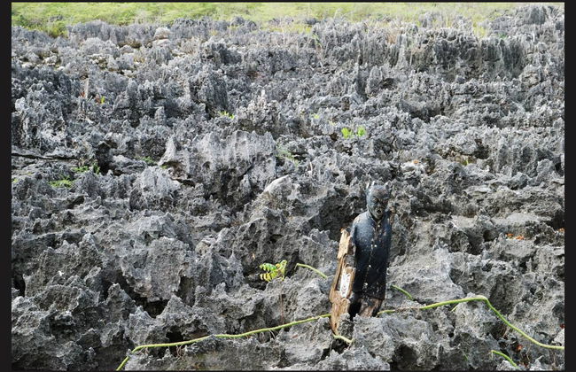 Grand Cayman Tour - Foto 4