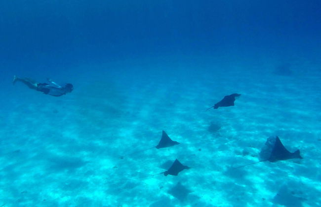 Paseo en catamarán por Bora Bora - Foto 2