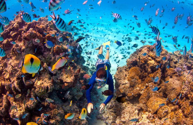 Paseo en catamarán por Bora Bora - Foto 6