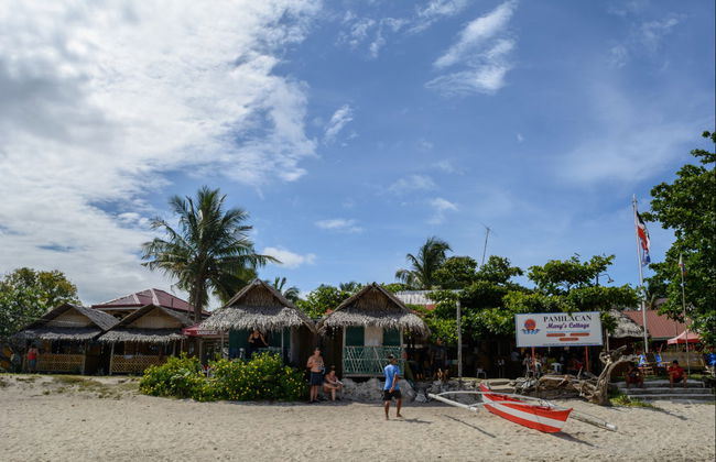 Observation de baleines à Bohol - Photo 3