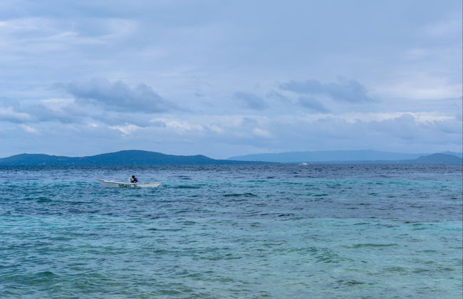 Observation de baleines à Bohol - Photo 6