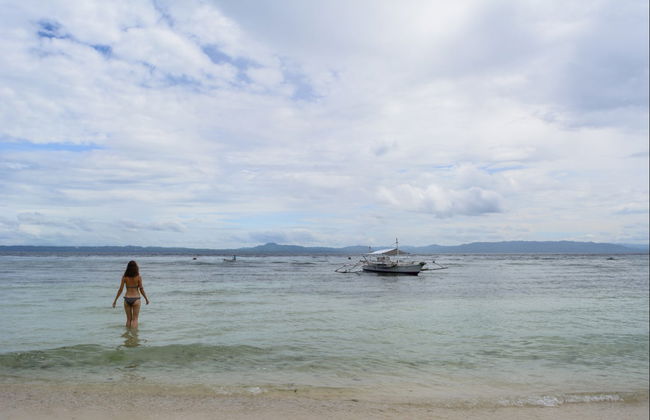 Observation de baleines à Bohol - Photo 4