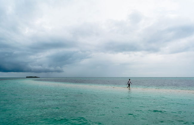 Observation de baleines à Bohol - Photo 2
