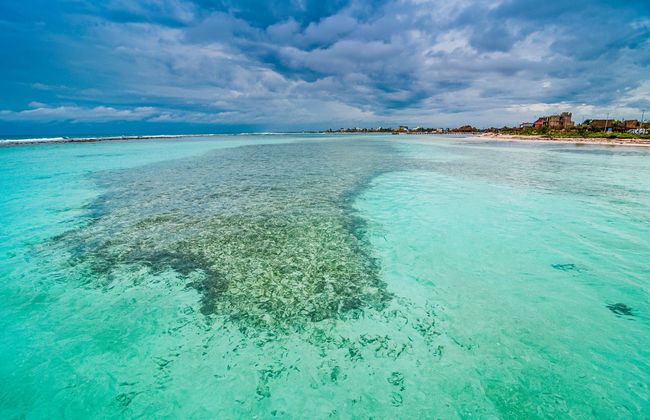 Private Tours from Chetumal - Foto 1