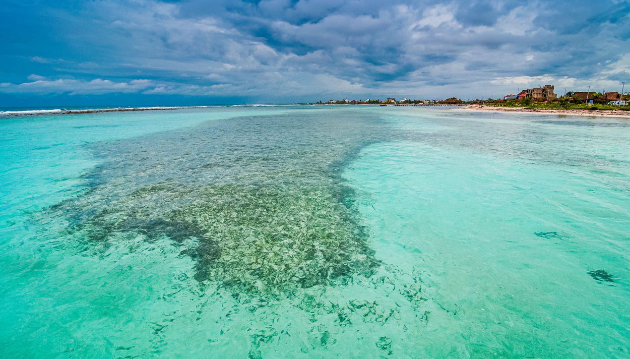 Private Tours from Chetumal - Foto 1