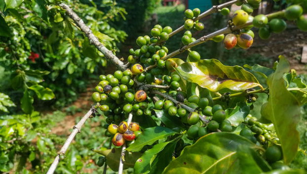 Senderismo por la Sierra del Infierno al amanecer - Foto 3