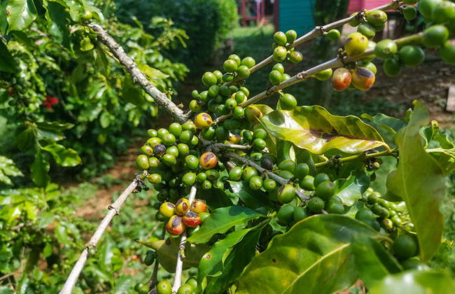 Sunrise Hike in the Sierra del Infierno - Foto 3