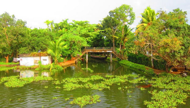 Paseo en casa flotante + Tour por Fort Kochi - Foto 3