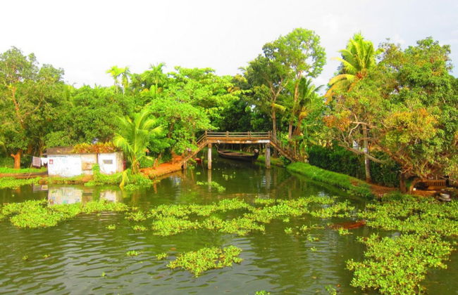 Paseo en casa flotante + Tour por Fort Kochi - Foto 3