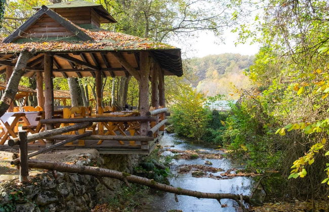 Monastère de Manasija, grotte de Resava et cascade de Lisine - Photo 3