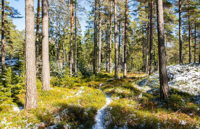 Excursion à Porkkala - Photo 3