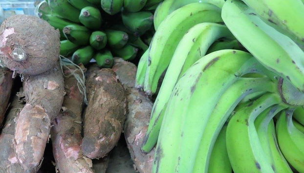 Tour di Galería Alameda e dell'artigianato di Cali - Foto 3