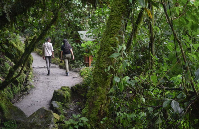 Excursão a Baños de Agua Santa - Foto 2