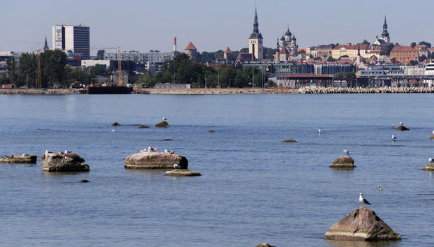 Tallinn Bay Boat Ride - Foto 5