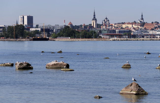 Balade en bateau dans la baie de Tallin - Photo 1