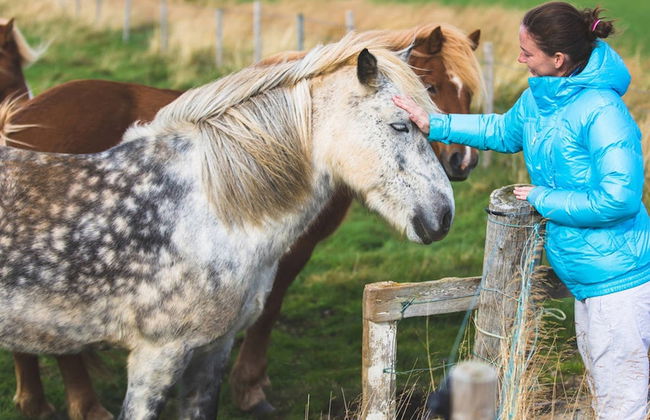 Círculo de Oro + Visita a un establo de caballos - Foto 2