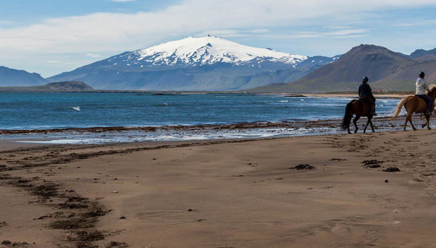Golden Circle & Horse Riding Tour - Photo 4