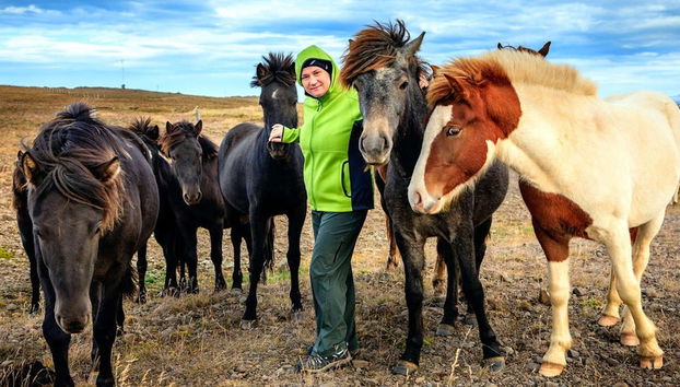 Golden Circle & Horse Riding Tour - Photo 3