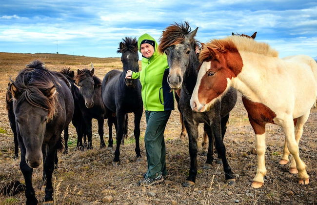 Círculo de Oro + Visita a un establo de caballos - Foto 3