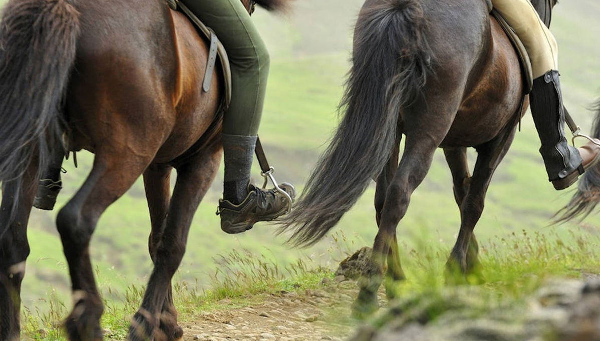 Círculo de Oro + Visita a un establo de caballos - Foto 1