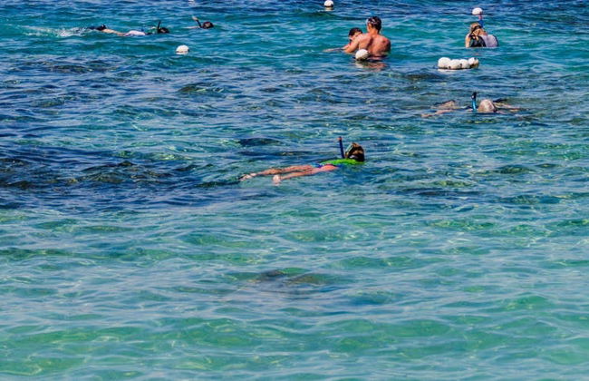 Snorkel en la isla Pigeon - Foto 6