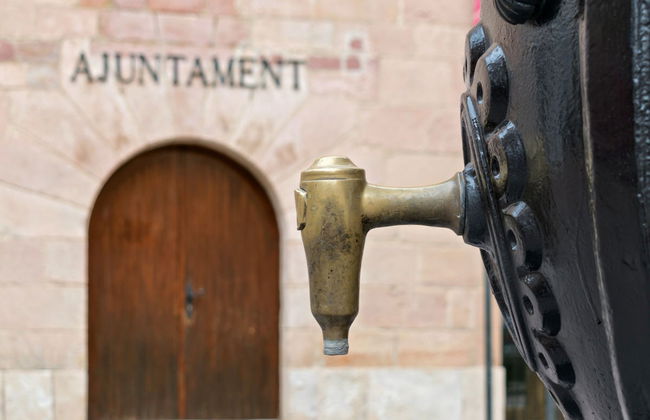 Escursione a Villafamés - Foto 6