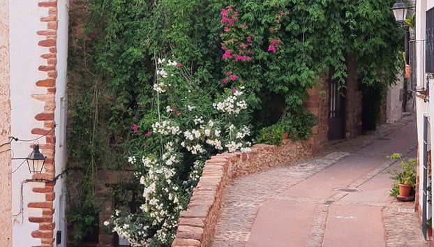 Escursione a Vilafamés - Foto 5