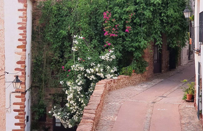 Escursione a Villafamés - Foto 7